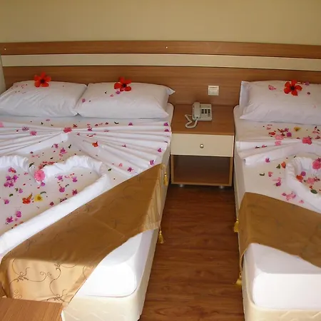 Bed and breakfast Ercan 2*